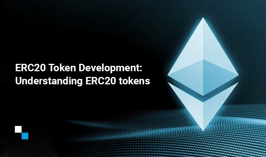 ERC20 Guidelines